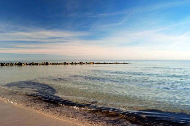 istock On the west beach on the Darss in Germany 1347470822