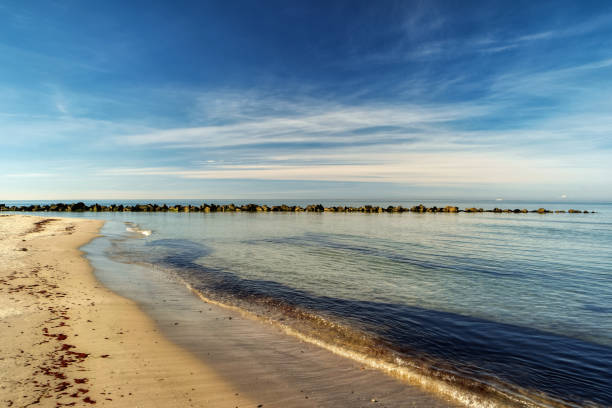 istock On the west beach on the Darss in Germany 1347470826