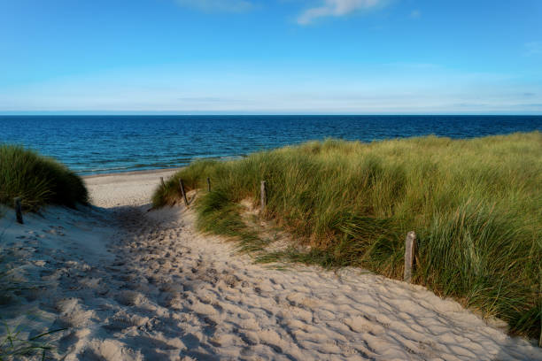 istock On the west beach on the Darss in Germany 1347470925