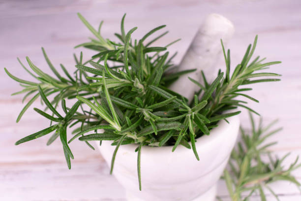 Rosemary in a mortar on a white background. Rosemary in a mortar on a white background. tarragon stock pictures, royalty-free photos & images