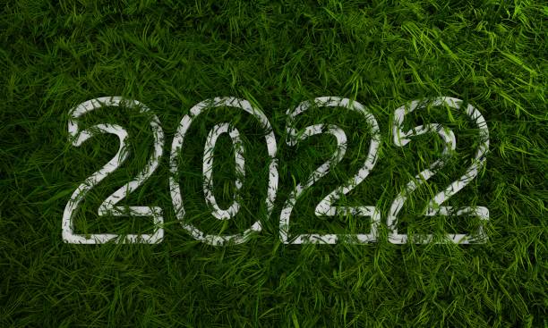 white 2022 year number with 3d green grass - mundial 2022 imagens e fotografias de stock