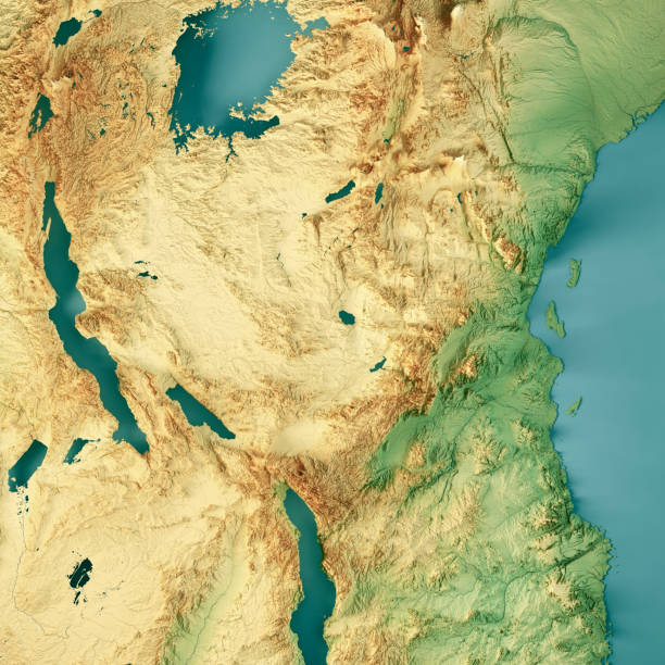 istock Tanzania 3D Render Topographic Map Color 1347477614