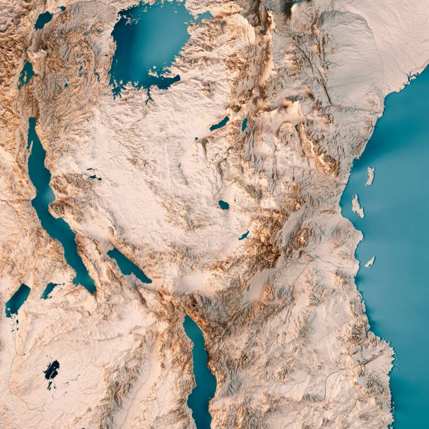 istock Tanzania 3D Render Topographic Map Neutral 1347477753