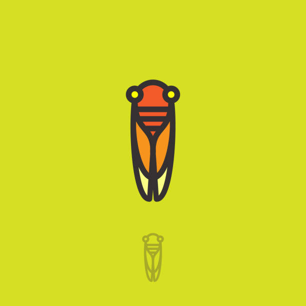 Cicada flat icon. Orange-yellow big cicada on light background. Linear style. Kids print for T-shirt. Flat simple Illustration for children, games, web icon, label or packaging. cicada stock illustrations