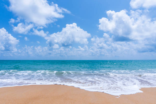 istock Beach sand and blue sea landscape nature in blue sky 1347481954