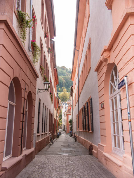 callejón estrecho en el casco antiguo de heidelberg. en el bosque de fondo en las colinas cercanas. - narrow alley fotografías e imágenes de stock