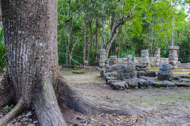 istock ROCK MOUNDS AT ANCIENT MAYAN PYRAMID AND RUINS IN JUNGLE 1347486226