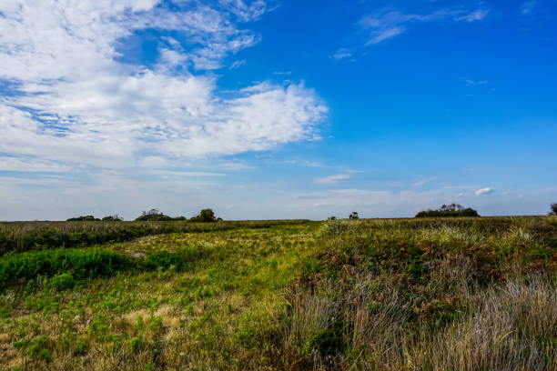 istock Fields and trees in beautiful sun in the outback of Australia. 1347486936