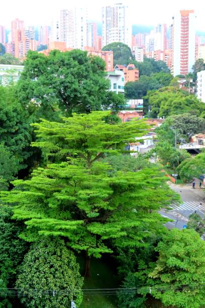 istock Medellin, Colombia. Green zone 1347492072