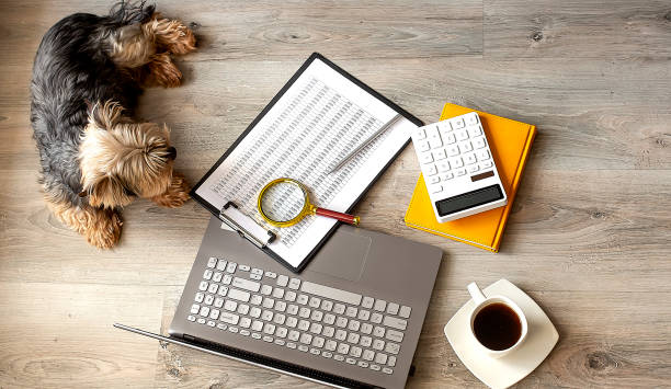 istock Home work. Laptop and business paper with notebook and coffee and small dog 1347493702