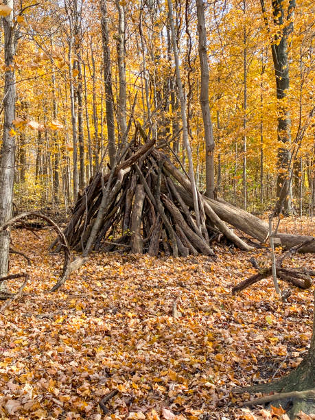 istock Fun Log Fort In The Woods 1347494446