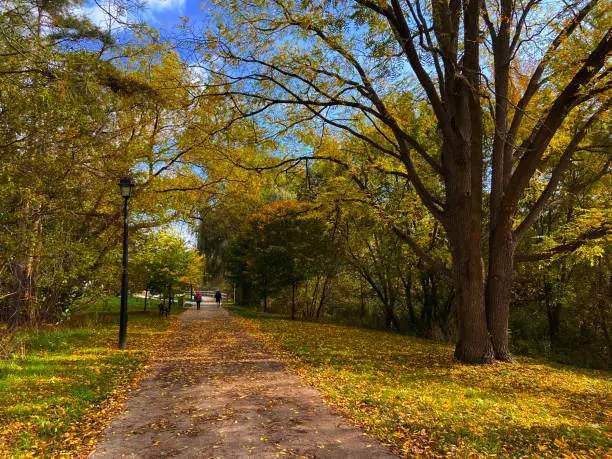 Fairy Lake rests on the East Holland River in Newmarket, Ontario. The lake is a popular recreation destination for town visitors and the surrounding community.