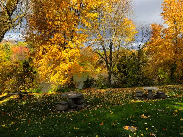 Fairy Lake rests on the East Holland River in Newmarket, Ontario. The lake is a popular recreation destination for town visitors and the surrounding community.