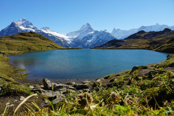 istock The Bachalpsee in Grindelwald 1347496533
