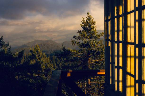 Lookout Tower Views Little Cowhorn Mountain fire lookout tower outside of Eugene, Oregon. eugene oregon stock pictures, royalty-free photos & images