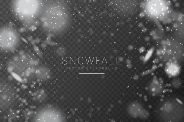 weihnachtsschnee. fallende schneeflocken auf transparentem hintergrund. schneefall. - winterlandschaft stock-grafiken, -clipart, -cartoons und -symbole