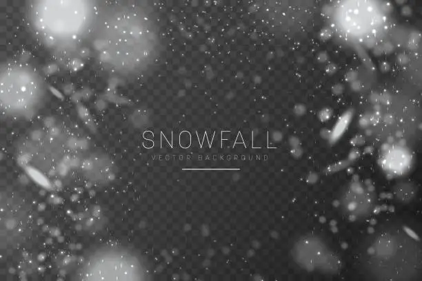 Vector illustration of Christmas snow. Falling snowflakes on transparent background. Snowfall.