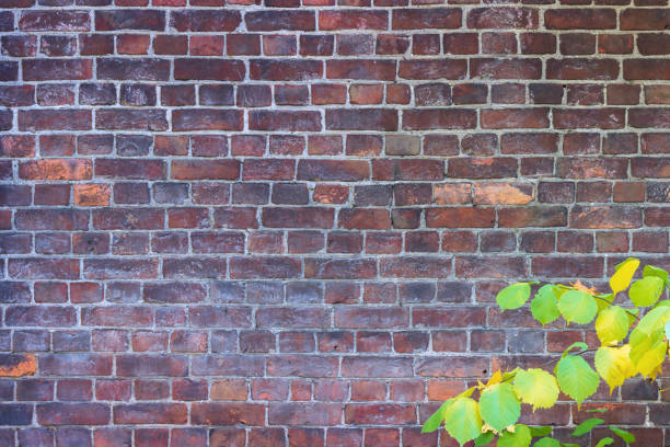 istock Brick fence in the old park. 1347498388