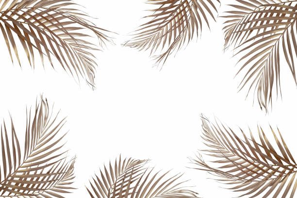 istock Gold tropical palm leaves on white background. Flat lay, top view minimal concept. 1347498717