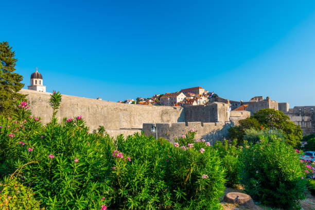 Dubrovnik city walls and Minceta tower, panoramic view of city. Green tress, palms and oleander flower. Beautiful ancient city and fortress, adriatic sea. Sunny summer day. Dubrovnik city walls and Minceta tower, panoramic view of city. Green tress, palms and oleander flower. Beautiful ancient city and fortress, adriatic sea. Sunny summer day. fort minceta dubrovnik stock pictures, royalty-free photos & images