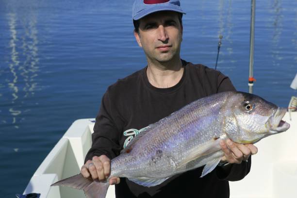 istock Fisherman showing proud catch saltwater fish 1347505311