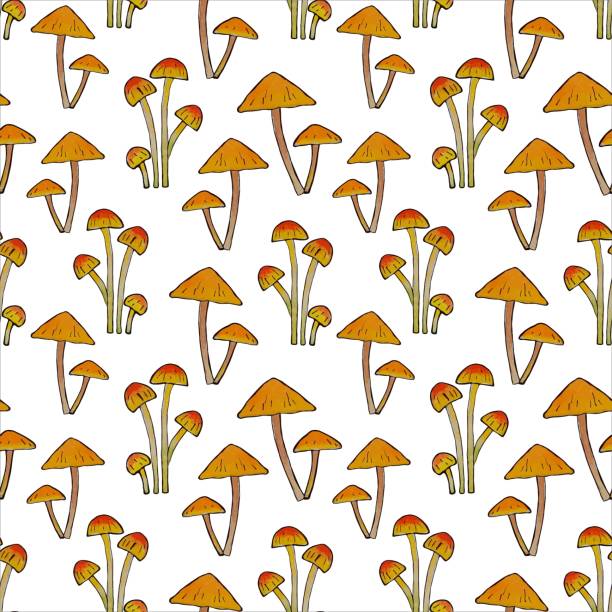 sieć - grzybobranie stock illustrations