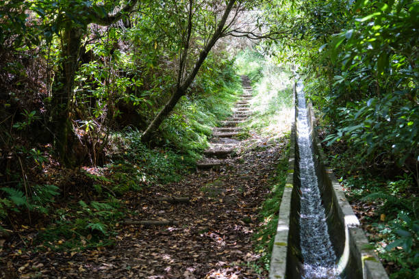 View of the Levada da Serra do Faial on the part from Ribeiro Frio to Portela.