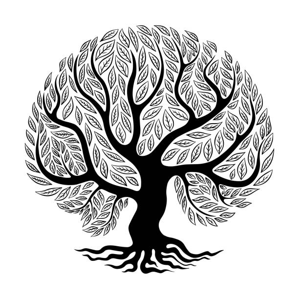 The whole tree silhouette The whole tree silhouette with branches, leaves ant roots. Circle shape isolated on white background. Vector illustration. willow tree stock illustrations