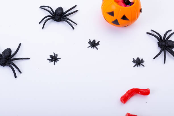istock Composition of halloween spiders and pumpkin bucket with sweets with copy space on white background 1347510664