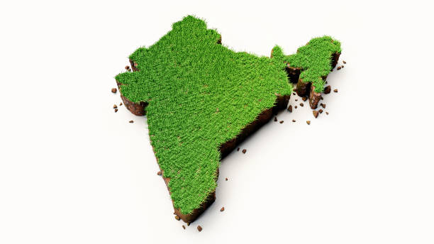 istock Detailed India Map top view with green Grass and soil mud 3d illustration 1347511611