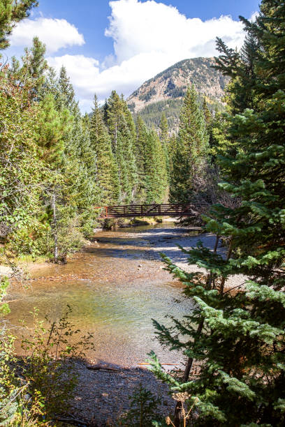 istock Flowing River in Rural Colorado Back Country 1347511861