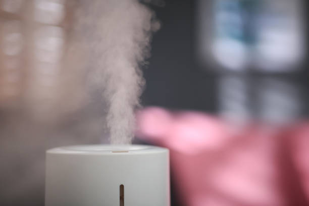 istock Modern air humidifier indoors, closeup. Space for text 1347514444