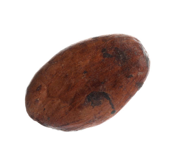 istock Brown raw cocoa bean isolated on white 1347514458