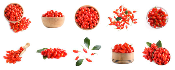 set di bacche di goji fresche su sfondo bianco. design del banner - lycium chinese foto e immagini stock