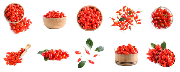 Set of fresh goji berries on white background. Banner design Set of fresh goji berries on white background. Banner design barberry family photos stock pictures, royalty-free photos & images