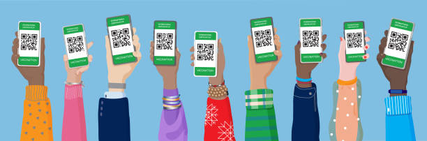Hands holding phones with qr code vaccine certificates approved Diverse young men`s and women`s hands holding smartphones with QR code on screen. Concept of digital healthy passport, European Green Pass app, Certificate of vaccination. Vector illustration, banner iphone hand stock illustrations