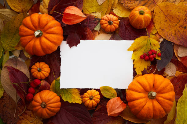 istock Pumpkins and fall leaves background with blank card. Top view. 1347517405