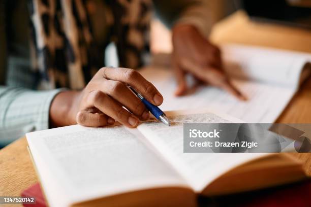 Closeup Of African American Woman Doing Some Research In A Library Stock Photo - Download Image Now