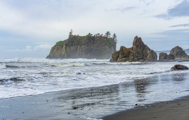 Ruby Beach January 1,300+ Ruby Beach Stock Photos, Pictures & Royalty-Free Images - iStock