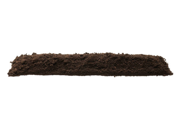 istock Black land for plant isolated on white background. Frame. 1347522282