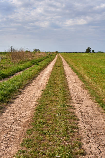 istock Rural Dirt Road Through Grassland in Argentina. Horizontal 1347522813