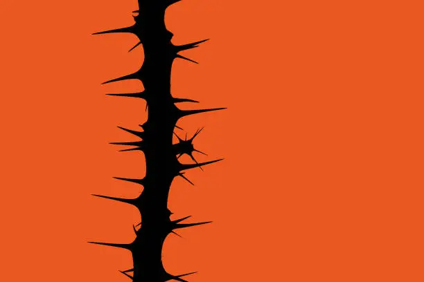 Crown of Thorns on a Orange background