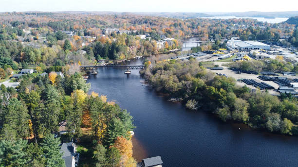 istock Autumn in Huntsville，canada 1347523296