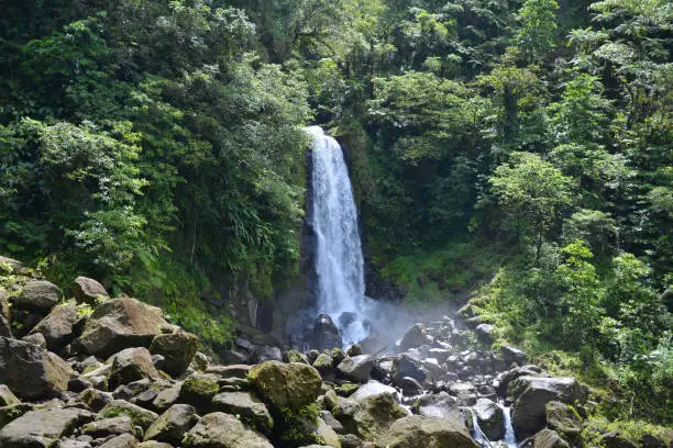 Trafalgar Falls waterfall at Dominica island rainforest, Caribbean.