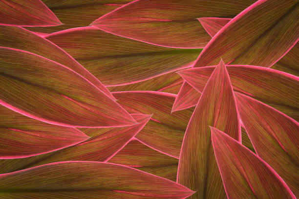 istock Green leaf background abstract of nature 1347527867