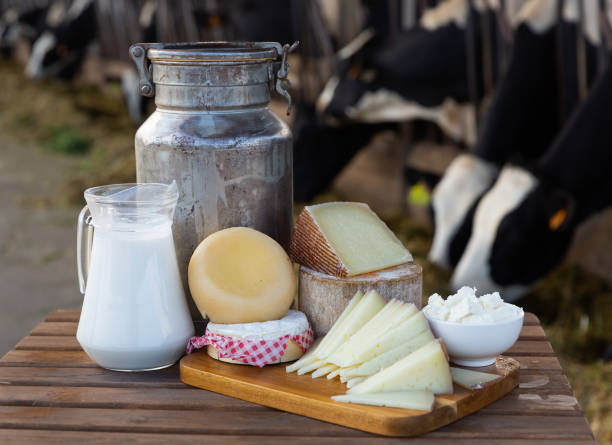 istock Image of dairy products on the farm 1347527892