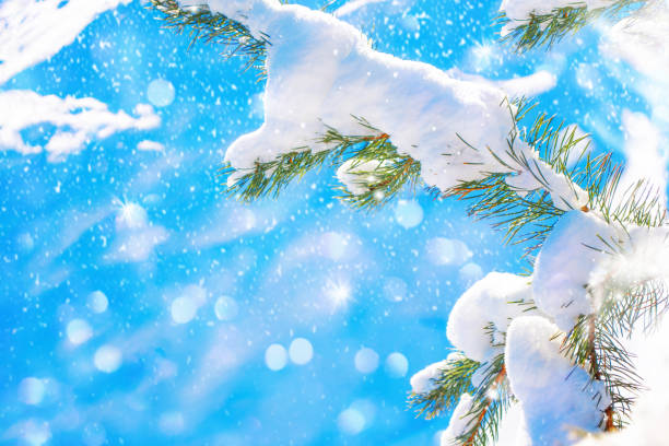 istock Christmas tree in the snow. greeting card. winter 1347529478