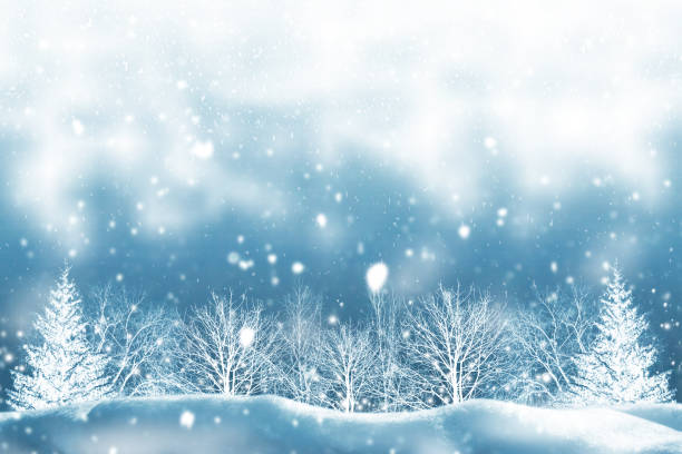 istock Frozen winter forest with snow covered trees. outdoor 1347530125