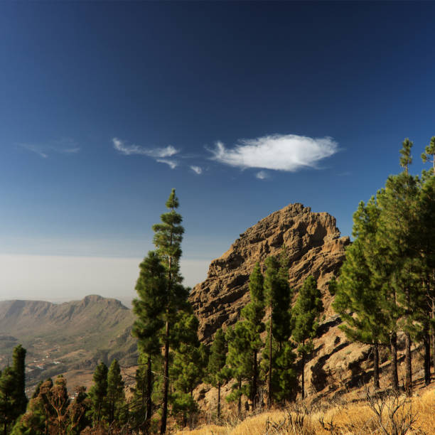 Gran Canaria, central montainous part of the island, Las Cumbres, ie The Summits Gran Canaria, central montainous part of the island, Las Cumbres, ie The Summits, landscapes around Pico de las Nieves, the highest point of the island sea population stock pictures, royalty-free photos & images