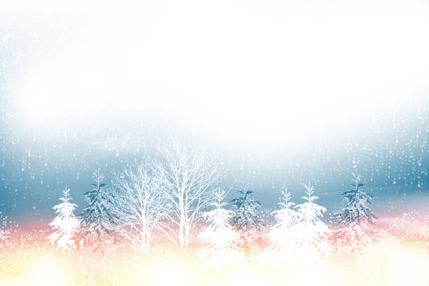 Frozen winter forest with snow covered trees.